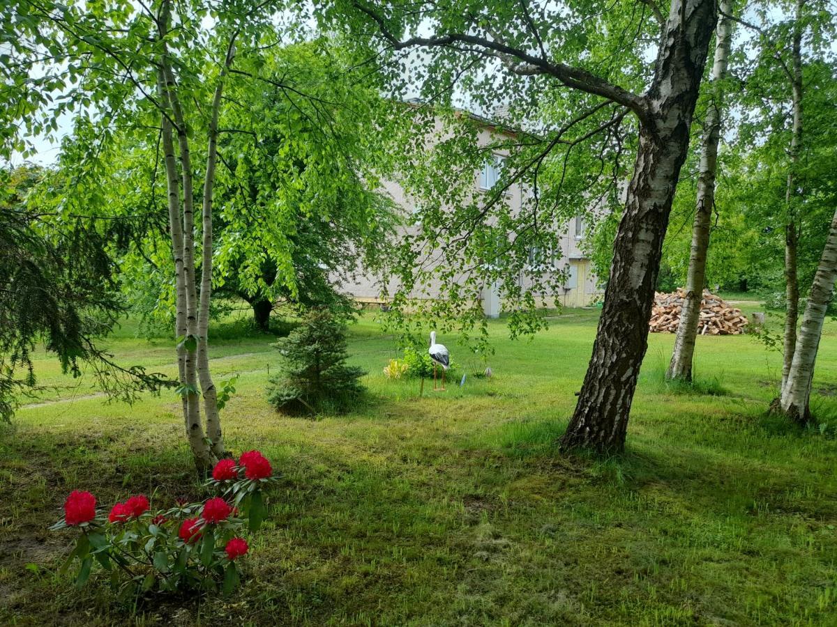 Quiet Summer Apartment Aucugals Zewnętrze zdjęcie