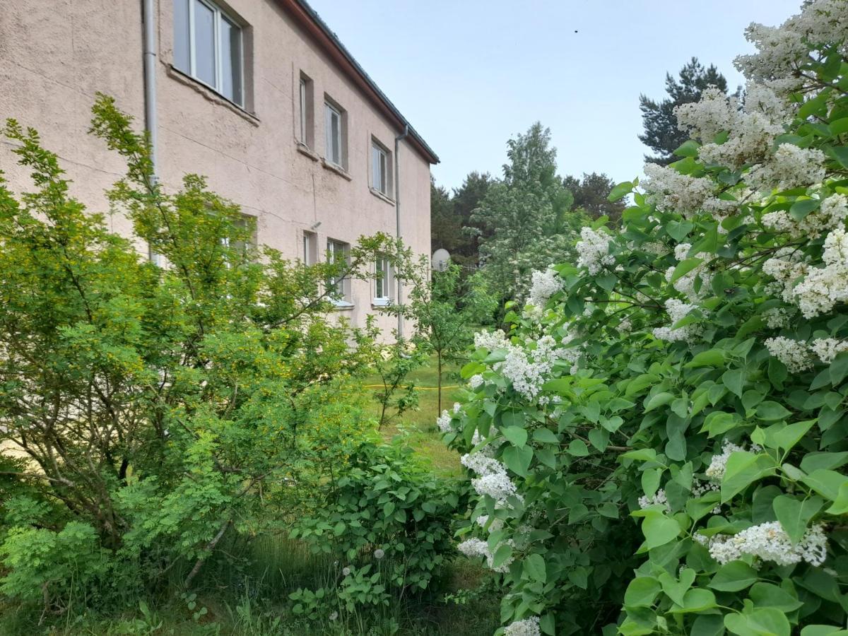 Quiet Summer Apartment Aucugals Zewnętrze zdjęcie