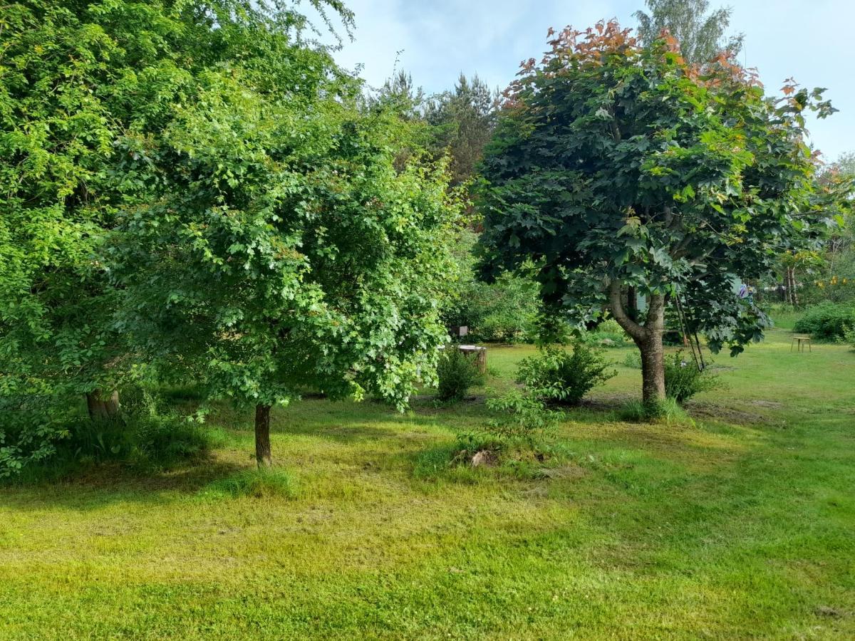 Quiet Summer Apartment Aucugals Zewnętrze zdjęcie